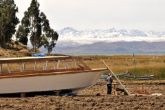 Bolivia - Lake Titicaca - Cordillera Real - boat construction 35