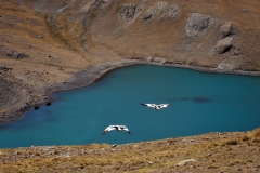 Bolivia - Cordillera Real - Condoriri - lake - laguna Chiar Khota - base camp 36