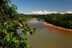 Bolivia - Beni - Río Quiquibey 44
