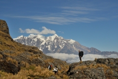 Bolivia - Yungacruz - trail - Illimani 57