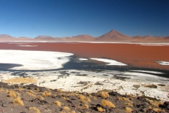 Bolivia - Laguna Colorada 47
