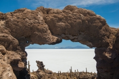 Bolivia - Salar de Uyuni - salt lake - coral arch - Isla Incahuasi 39