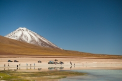 Bolivia - Laguna Blanca - Licancabur 55