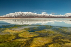 Bolivia - Laguna Blanca 57