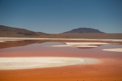 Bolivia - Laguna Colorada 48