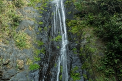 Bolivia - Yungas - cascade 34