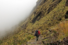 Bolivia - Sorata - Mapiri - trail 21