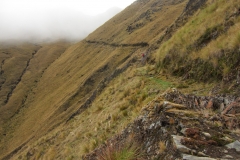 Bolivia - Sorata - Mapiri - trail 25