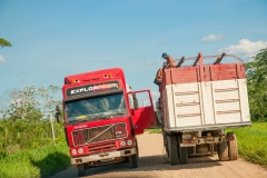 Bolivia - Ixiamas - trucks 39